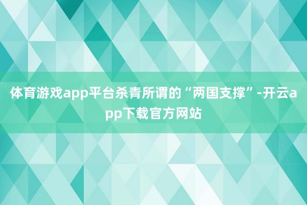 体育游戏app平台杀青所谓的“两国支撑”-开云app下载官方网站