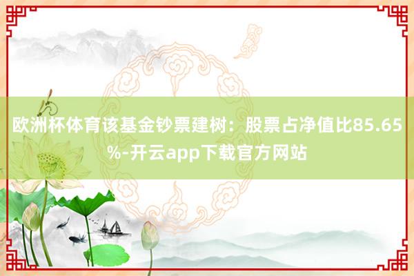 欧洲杯体育该基金钞票建树：股票占净值比85.65%-开云app下载官方网站