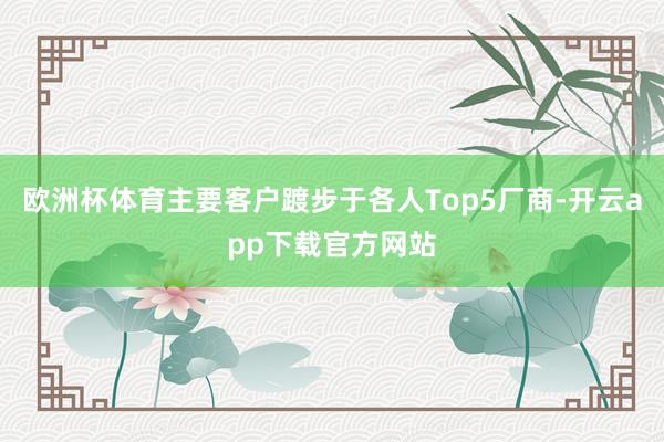 欧洲杯体育主要客户踱步于各人Top5厂商-开云app下载官方网站