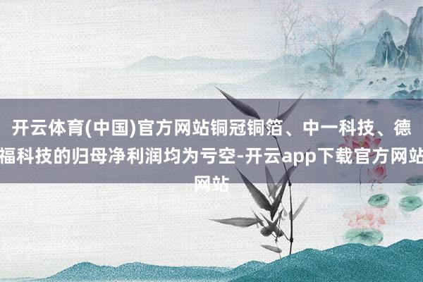 开云体育(中国)官方网站铜冠铜箔、中一科技、德福科技的归母净利润均为亏空-开云app下载官方网站