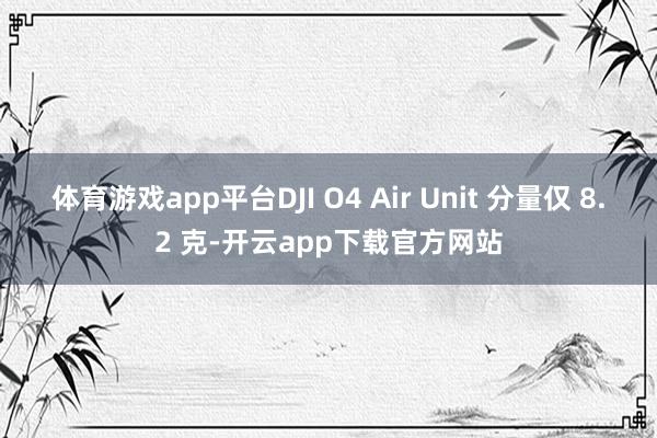 体育游戏app平台DJI O4 Air Unit 分量仅 8.2 克-开云app下载官方网站