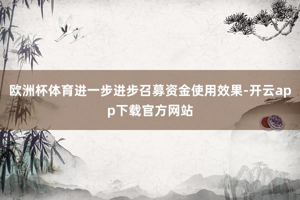 欧洲杯体育进一步进步召募资金使用效果-开云app下载官方网站