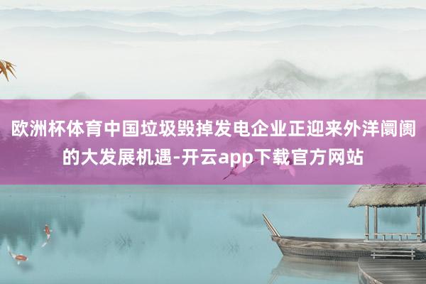 欧洲杯体育中国垃圾毁掉发电企业正迎来外洋阛阓的大发展机遇-开云app下载官方网站